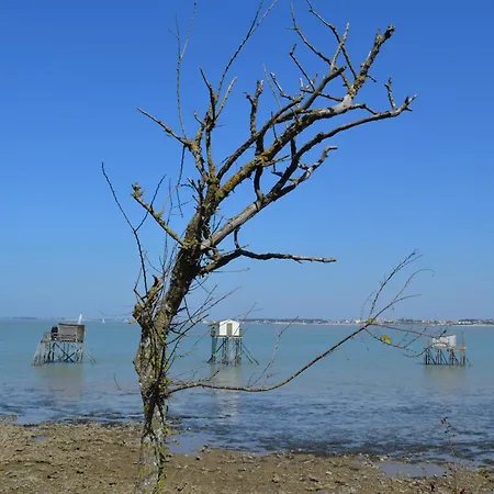 L'acheneau مارينيس