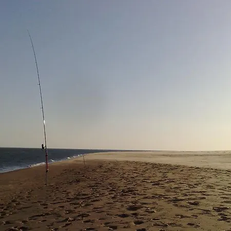 L'acheneau مارينيس