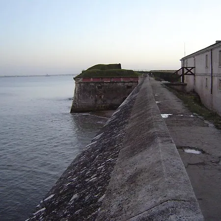 L'acheneau Marennes (Charente-Maritime)