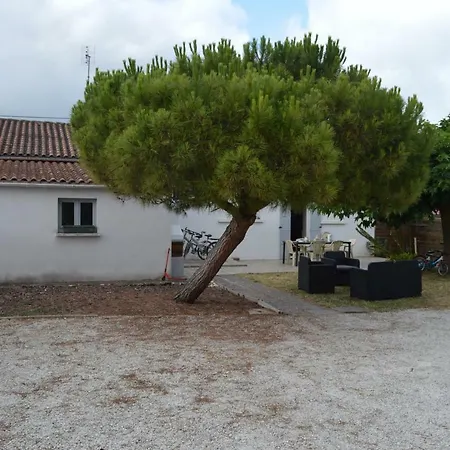 L'acheneau *